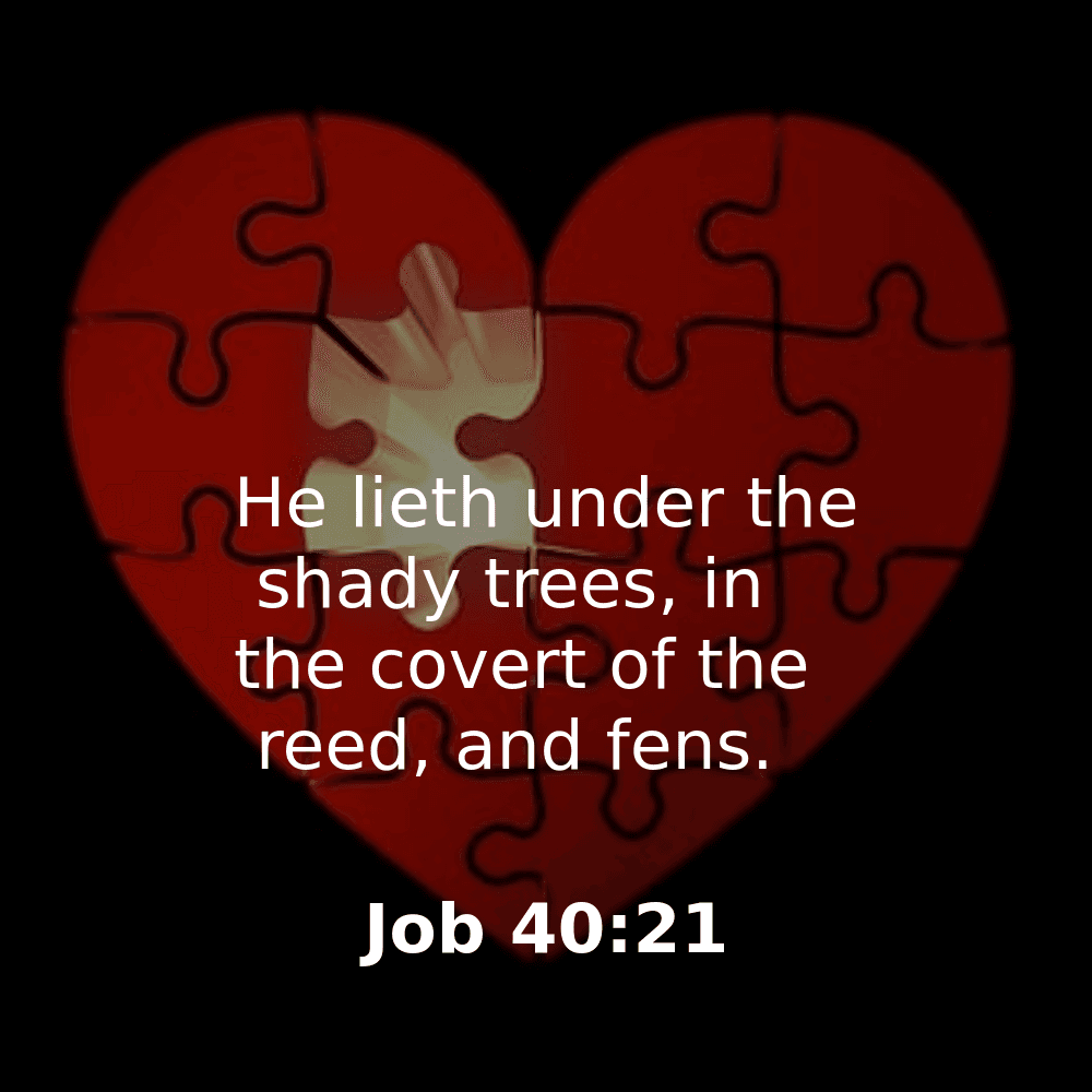 Job 40:21 - Bibleverses.net