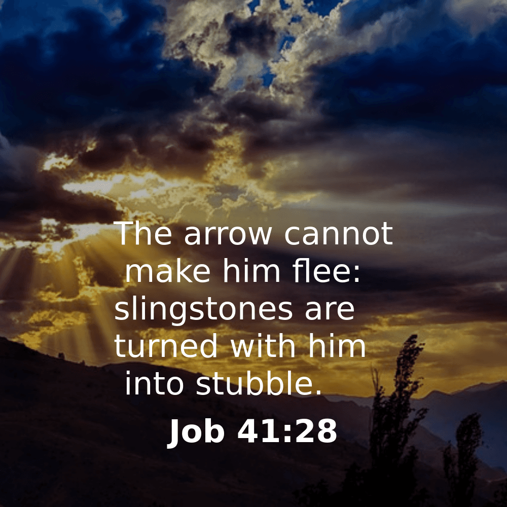 Job 41:28 - Bibleverses.net