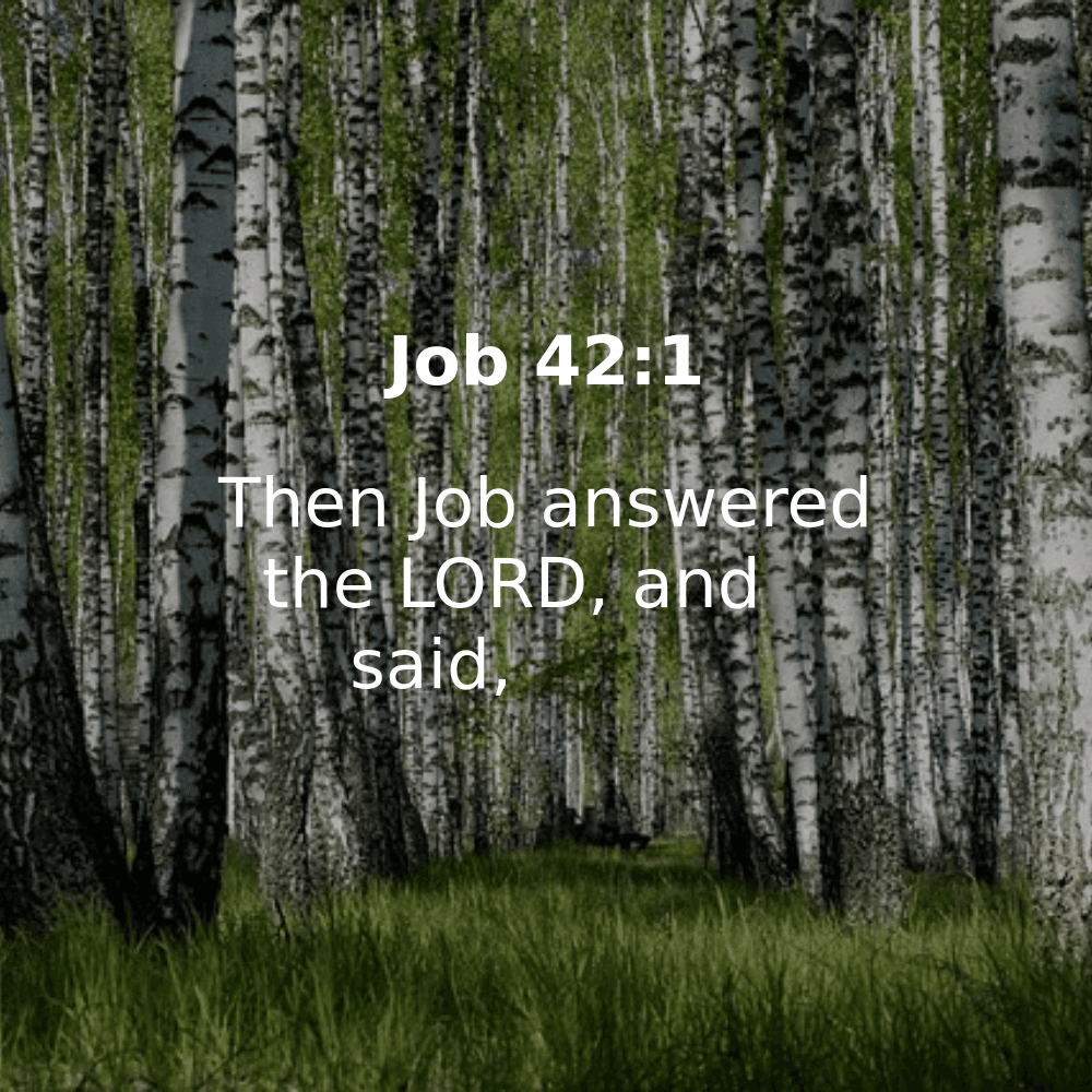 Job 42:1 - Bibleverses.net