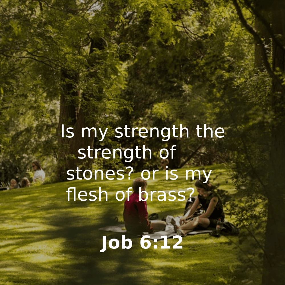 Job 6:12 - Bibleverses.net