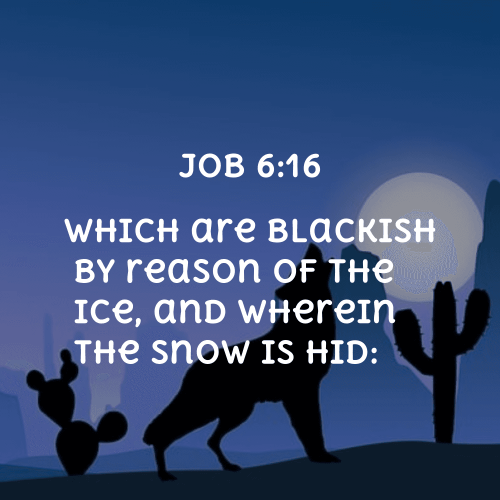 Job 6:16 - Bibleverses.net