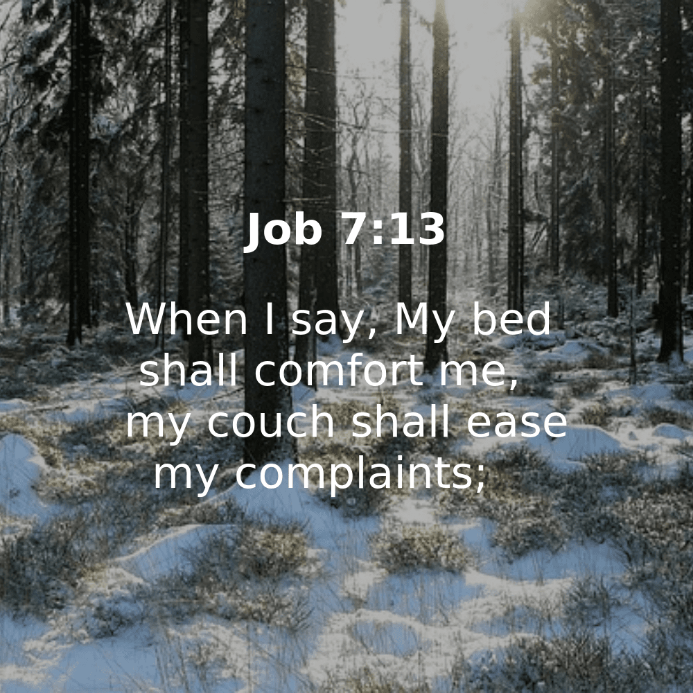 Job 7:13 - Bibleverses.net