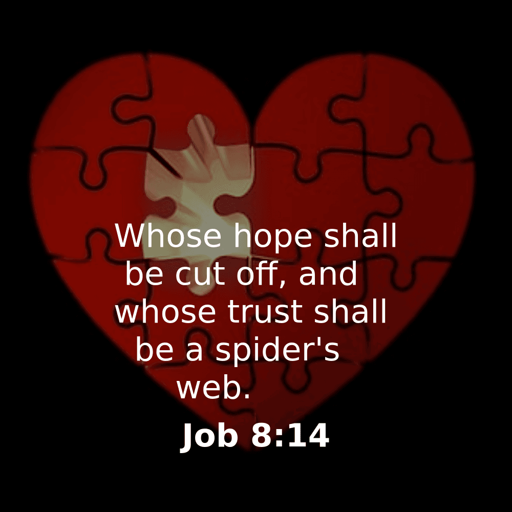 Job 8:14 - Bibleverses.net