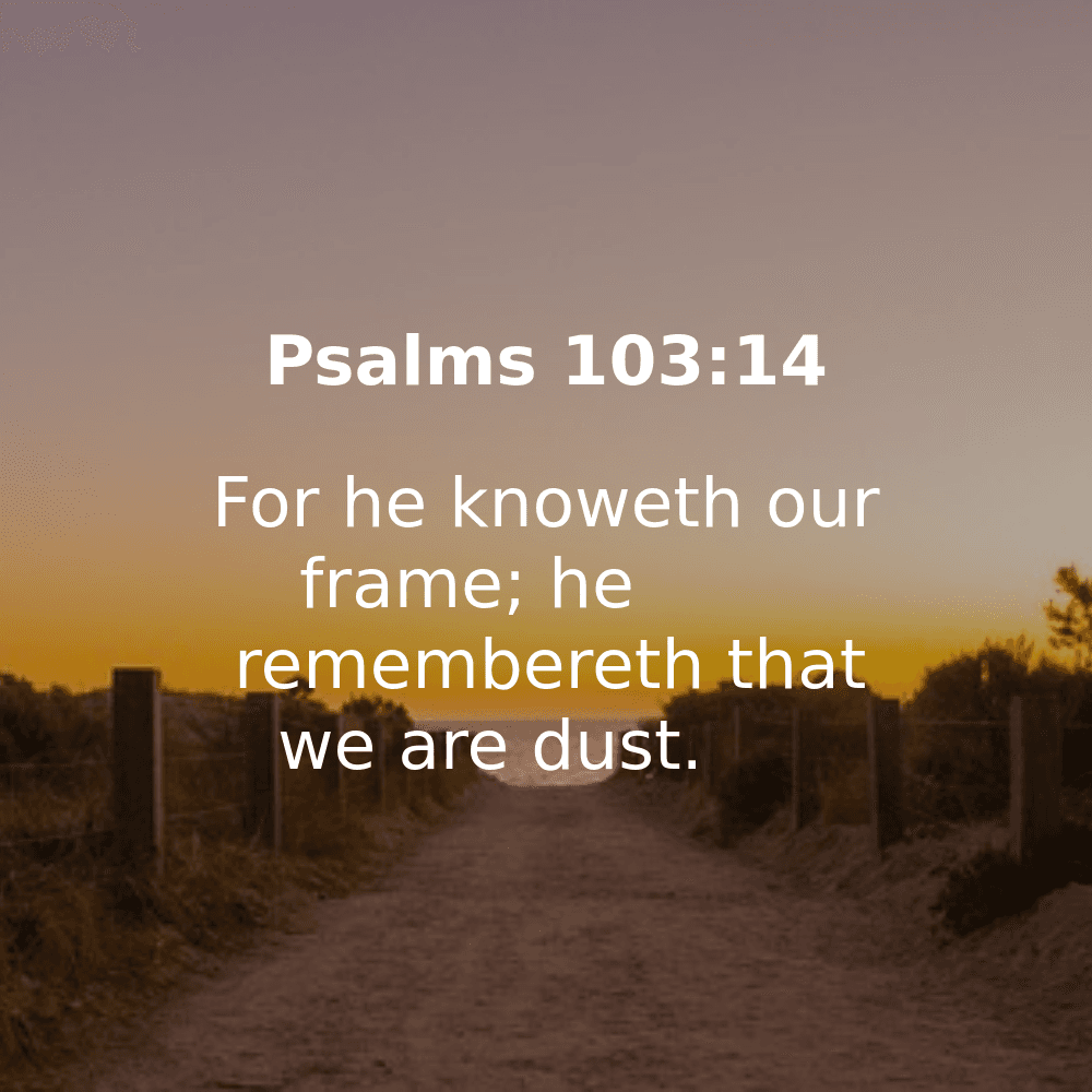 Psalms 103:14 - Bibleverses.net