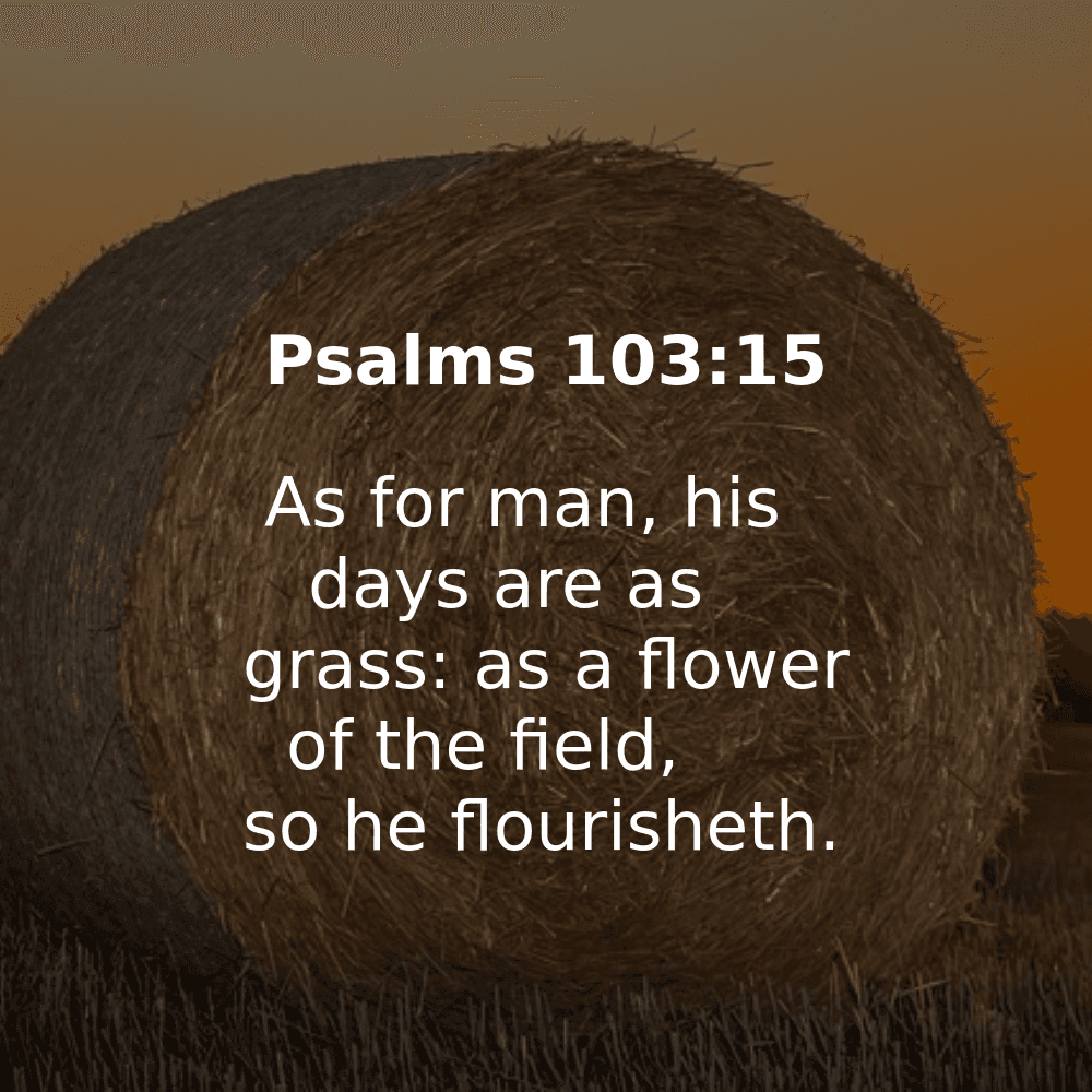 Psalms 103:15 - Bibleverses.net