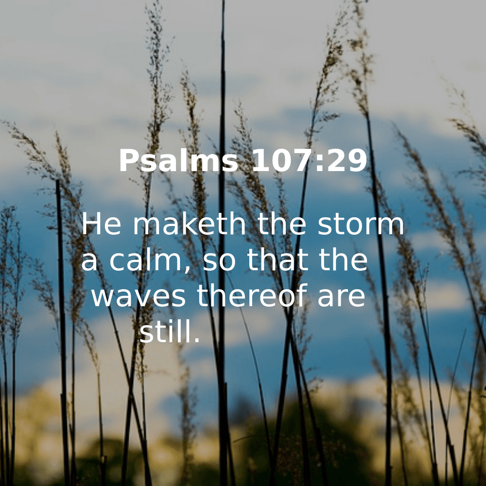 Psalms 107:29 - Bibleverses.net