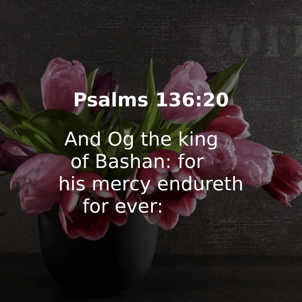 Psalms 136:20 - Bibleverses.net