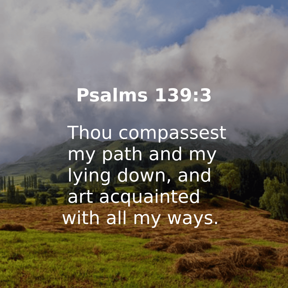 Psalms 139:3 - Bibleverses.net