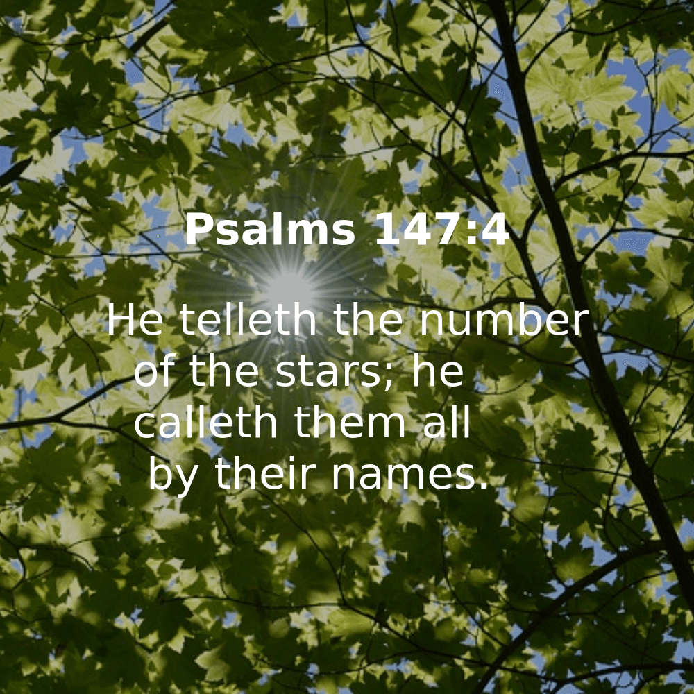 Psalms 147:4 - Bibleverses.net