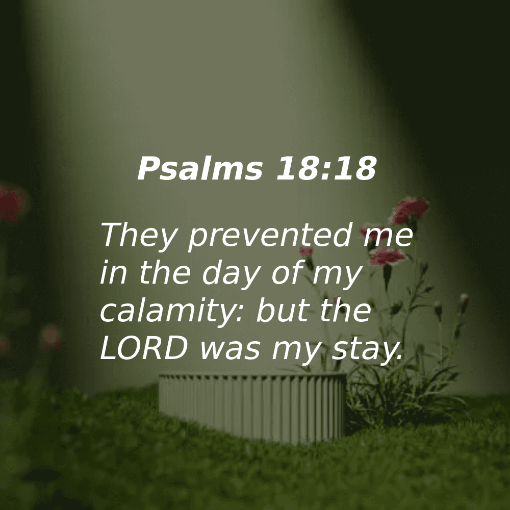 Psalms 18:18 - Bibleverses.net