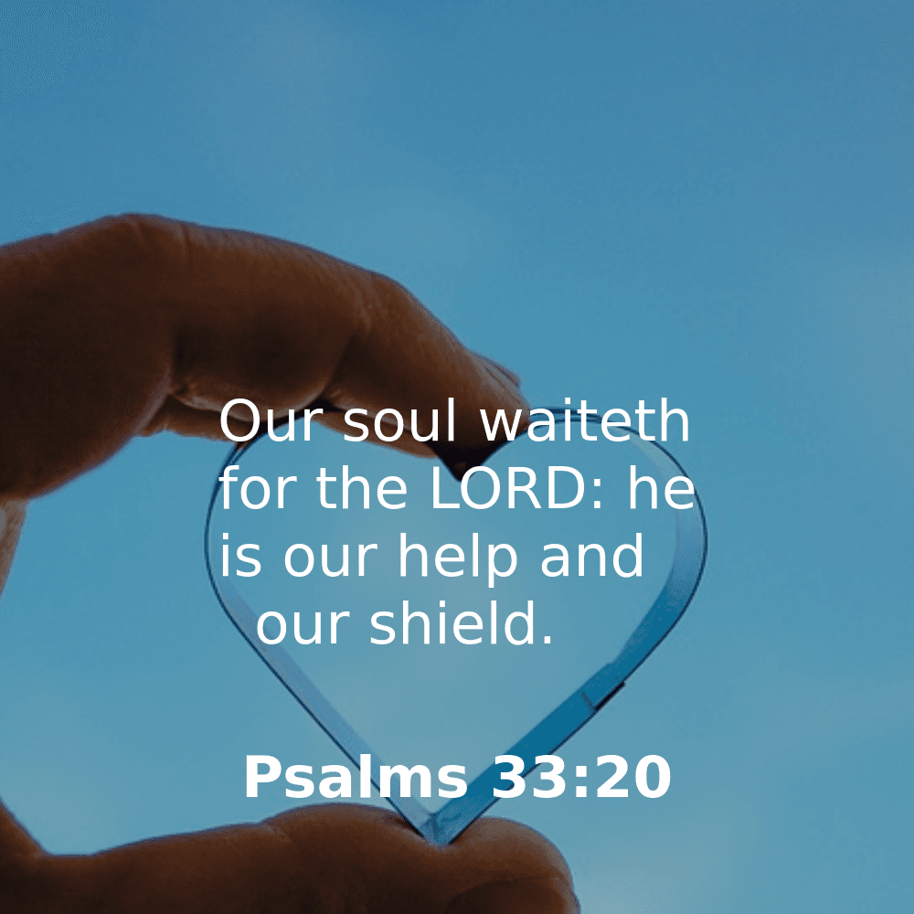 Psalms 33:20 - Bibleverses.net