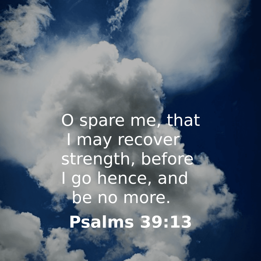 Psalms 39:13 - Bibleverses.net