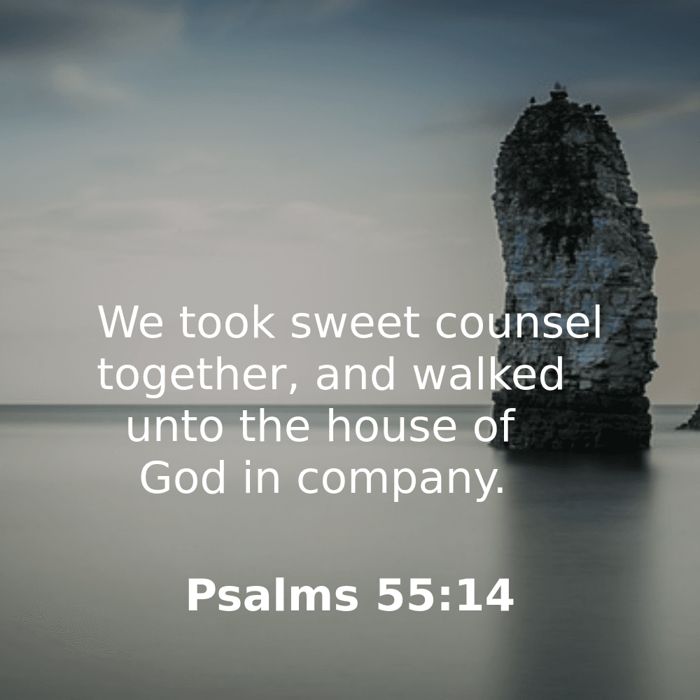 Psalms 55:14 - Bibleverses.net