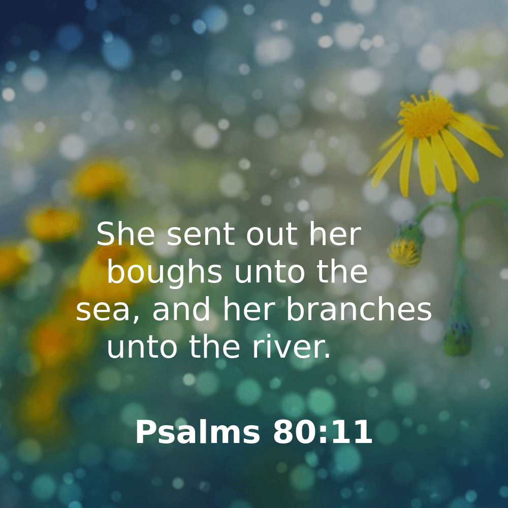 Psalms 80:11 - Bibleverses.net