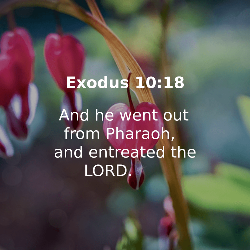 Exodus 10:18 - Bibleverses.net