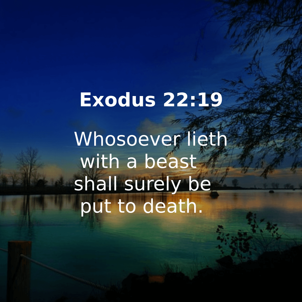 Exodus 22:19 - Bibleverses.net