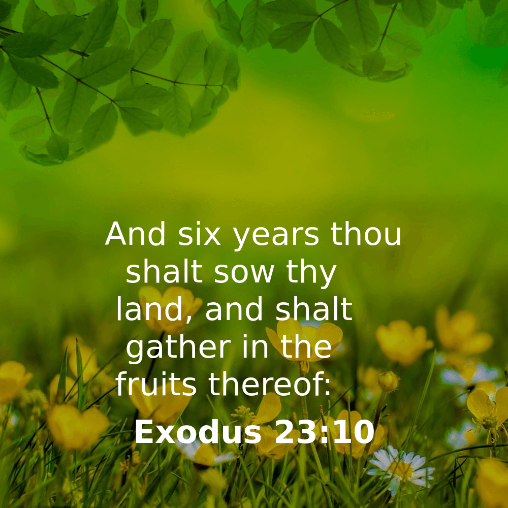 Exodus 23:10 - Bibleverses.net