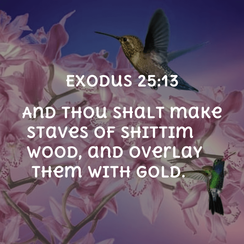 Exodus 25:13 - Bibleverses.net