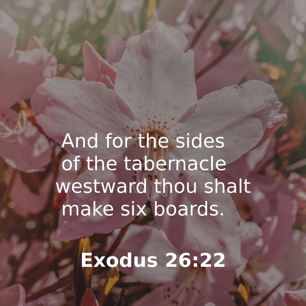 Exodus 26:22 - Bibleverses.net