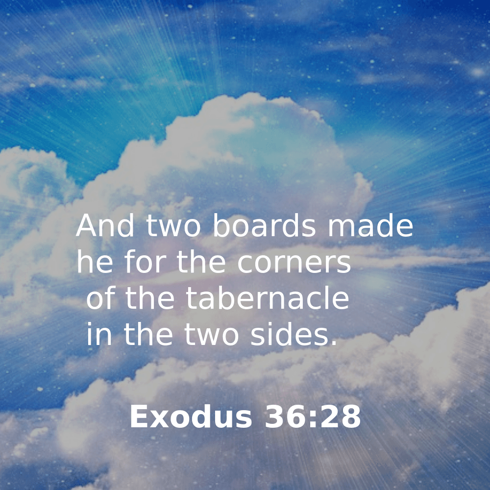 Exodus 36:28 - Bibleverses.net