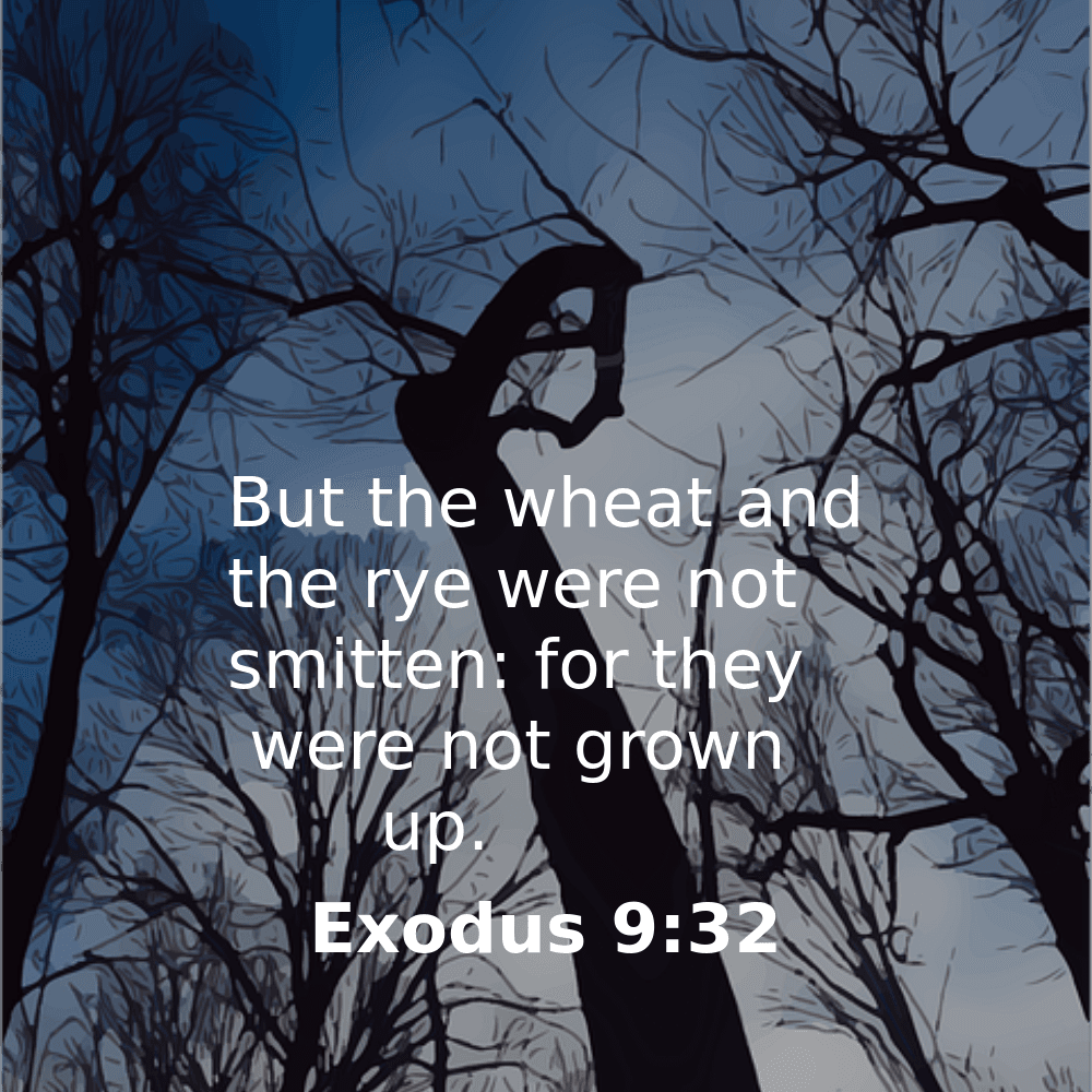 Exodus 9:32 - Bibleverses.net