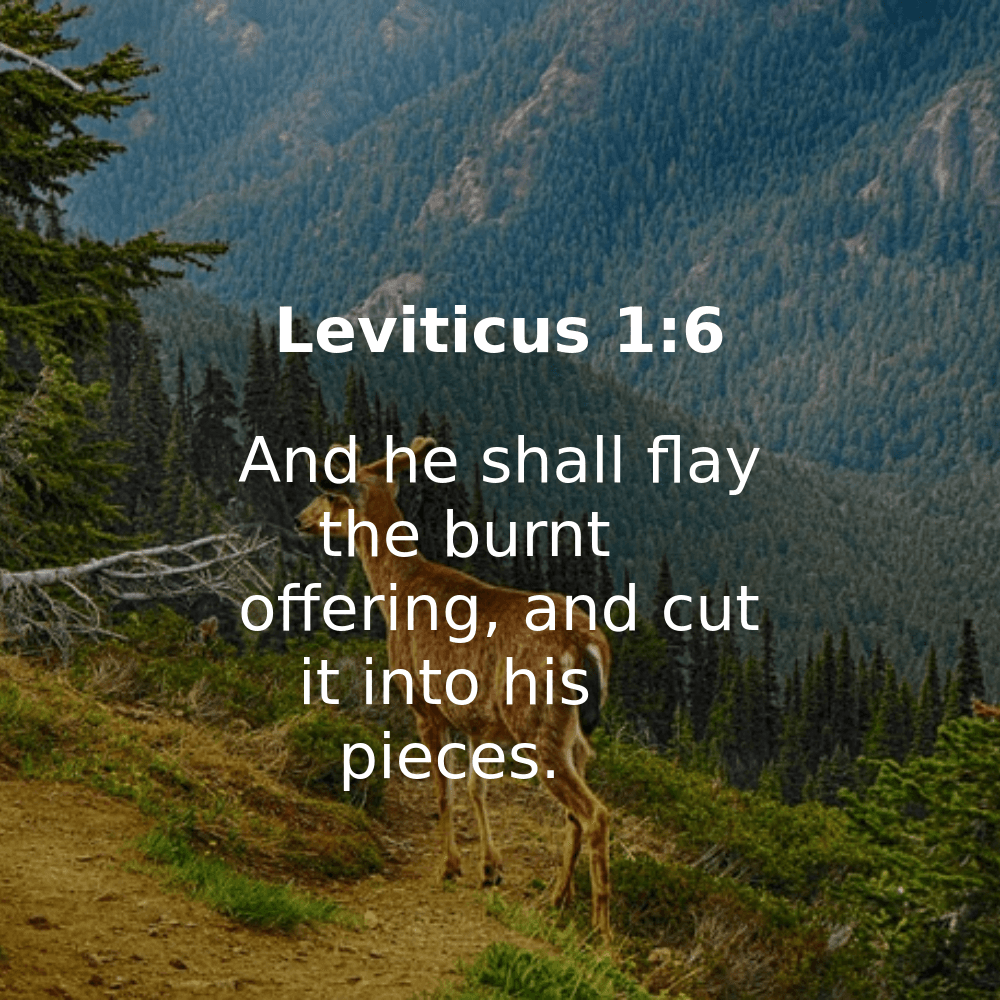 Leviticus 1:6 - Bibleverses.net