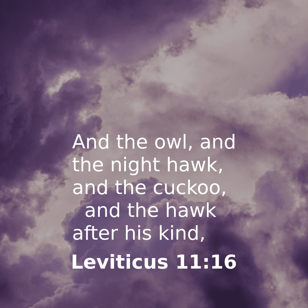 Leviticus 11:16 - Bibleverses.net