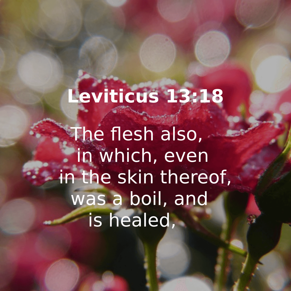 Leviticus 13:18 - Bibleverses.net