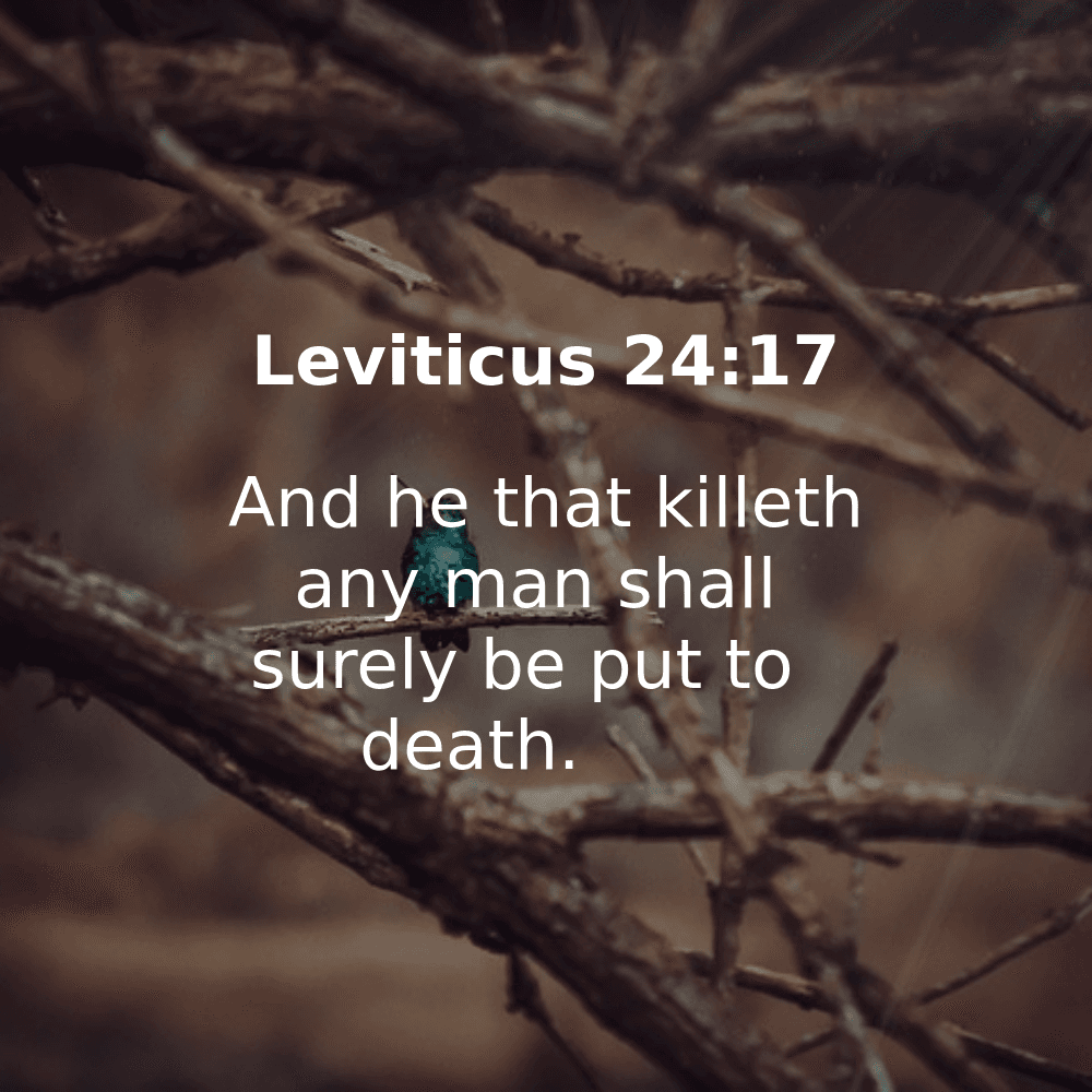 Leviticus 24:17 - Bibleverses.net