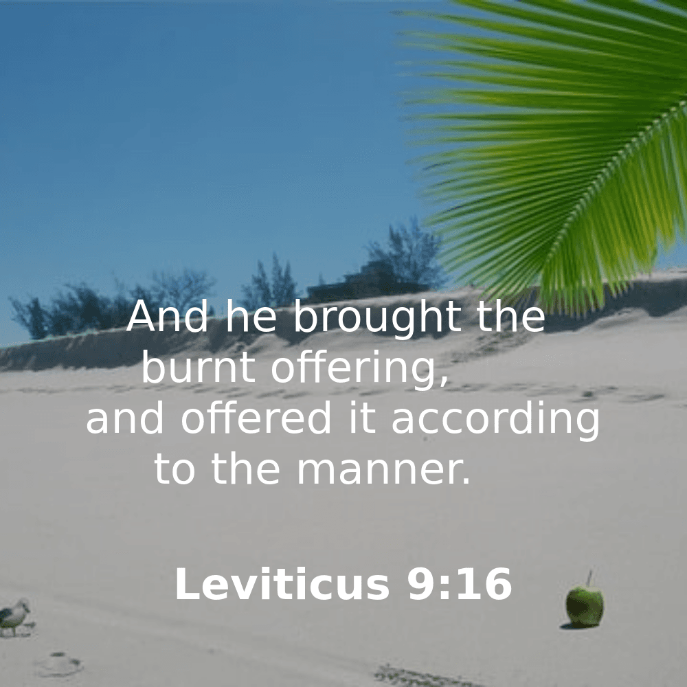 Leviticus 9:16 - Bibleverses.net