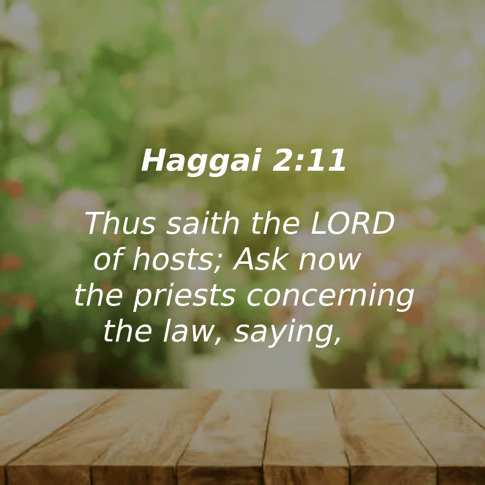 Haggai 2:11 - Bibleverses.net