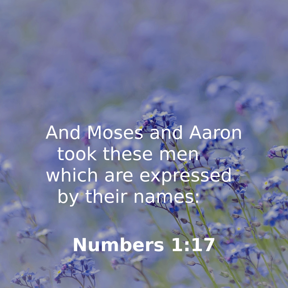 Numbers 1:17 - Bibleverses.net