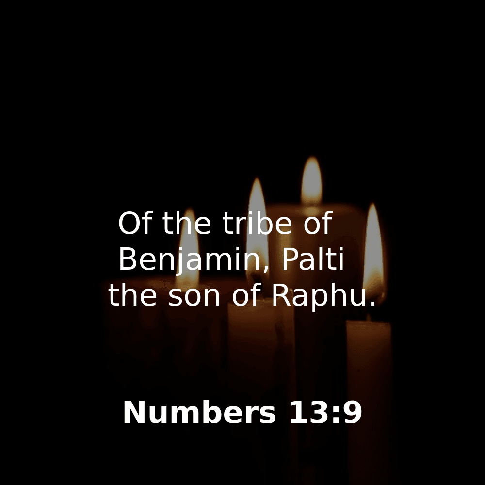 Numbers 13:9 - Bibleverses.net