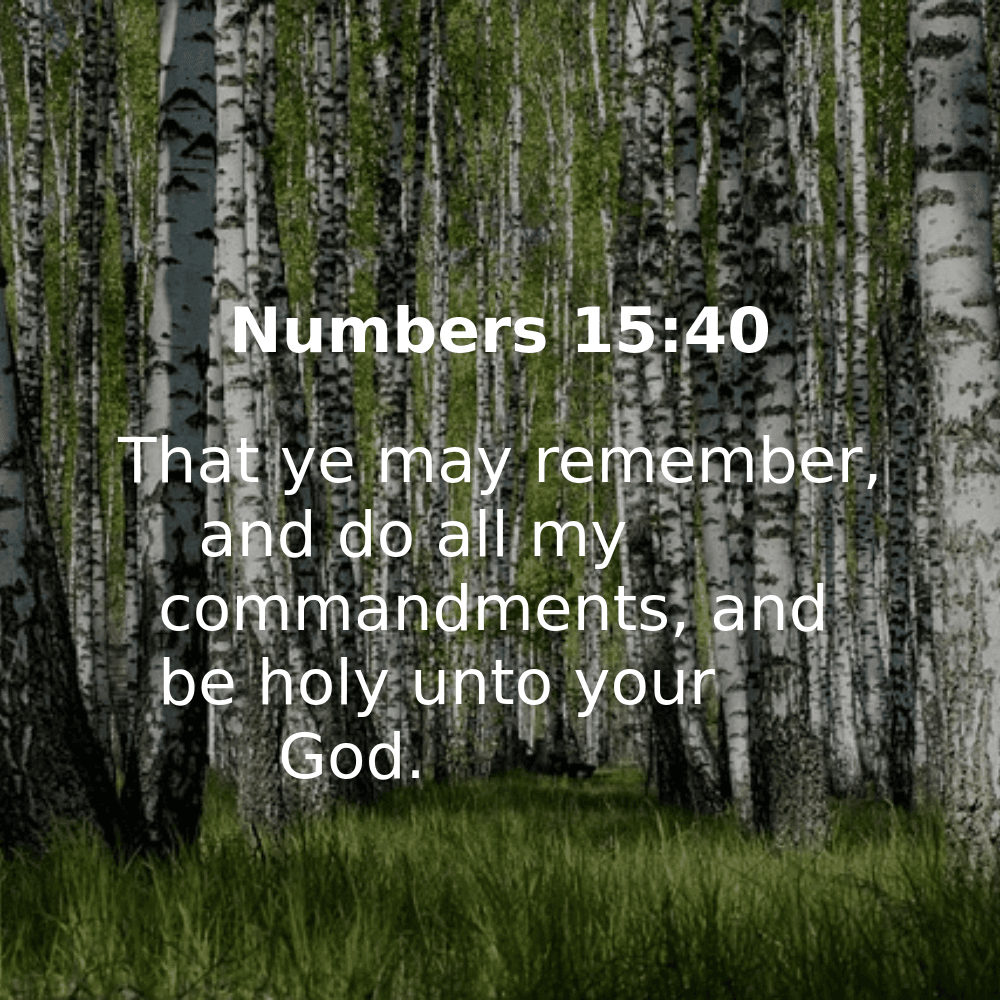 Numbers 15:40 - Bibleverses.net