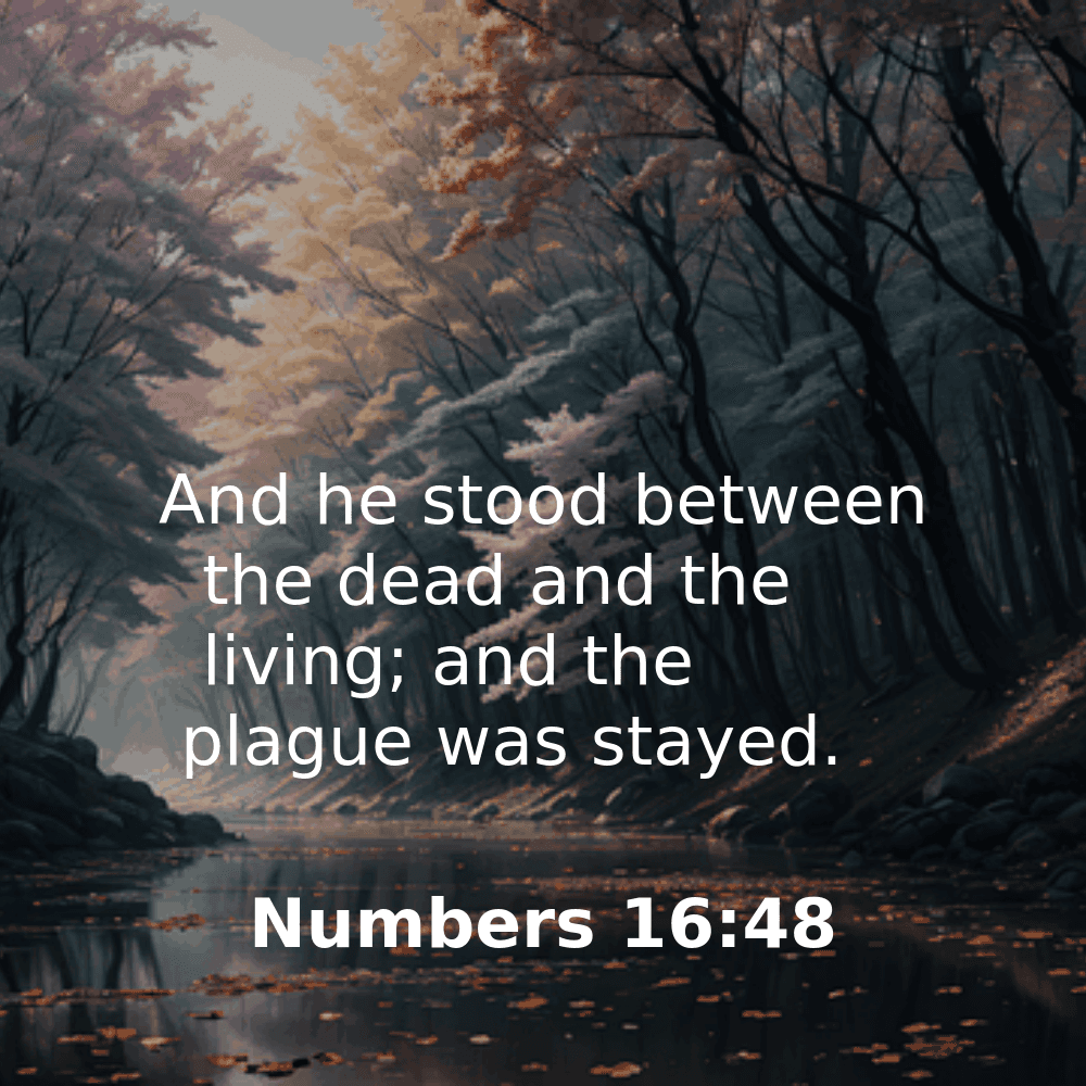 Numbers 16:48 - Bibleverses.net