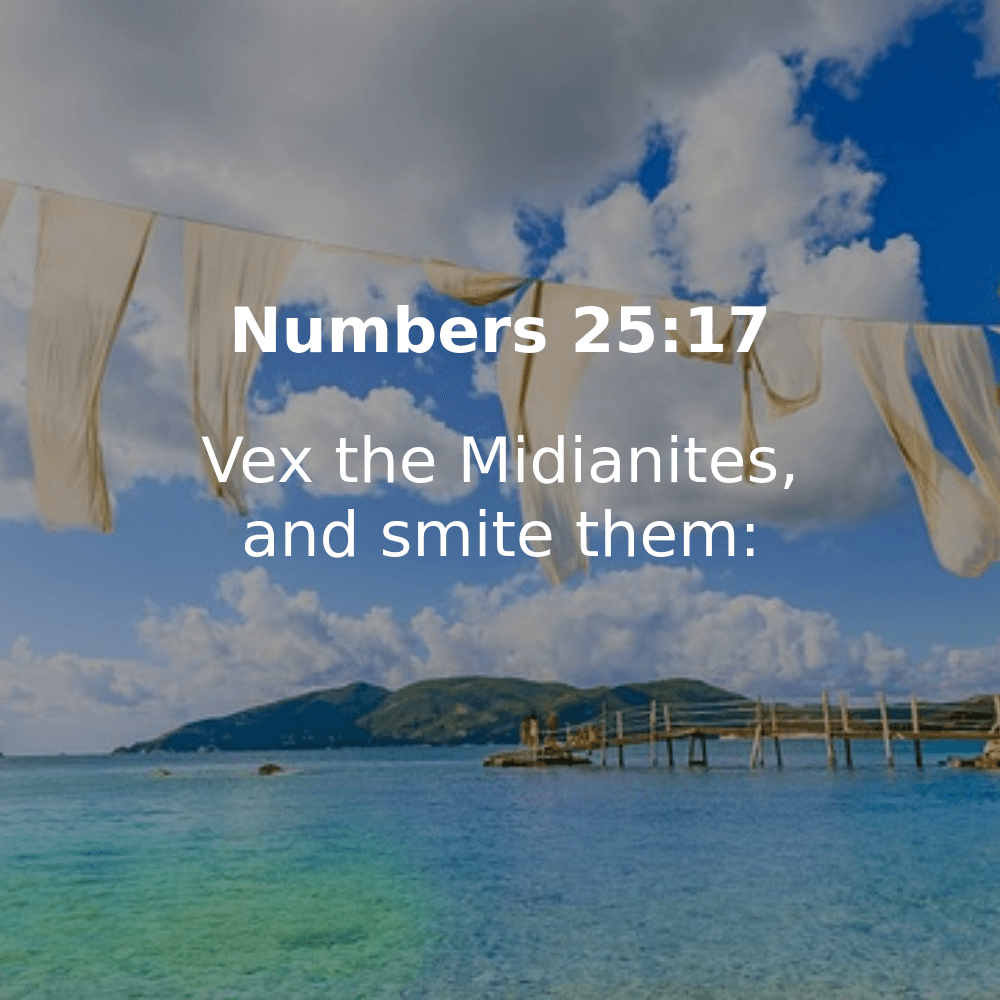 Numbers 25:17 - Bibleverses.net