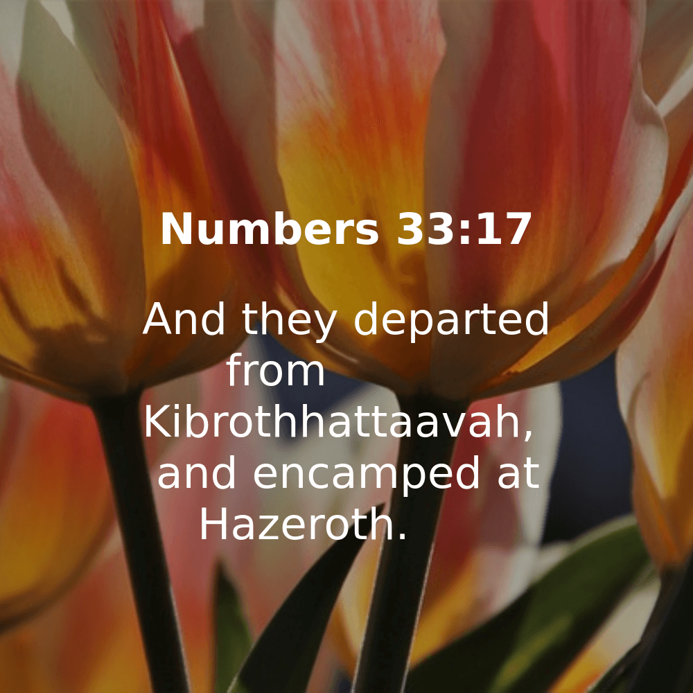 Numbers 33:17 - Bibleverses.net