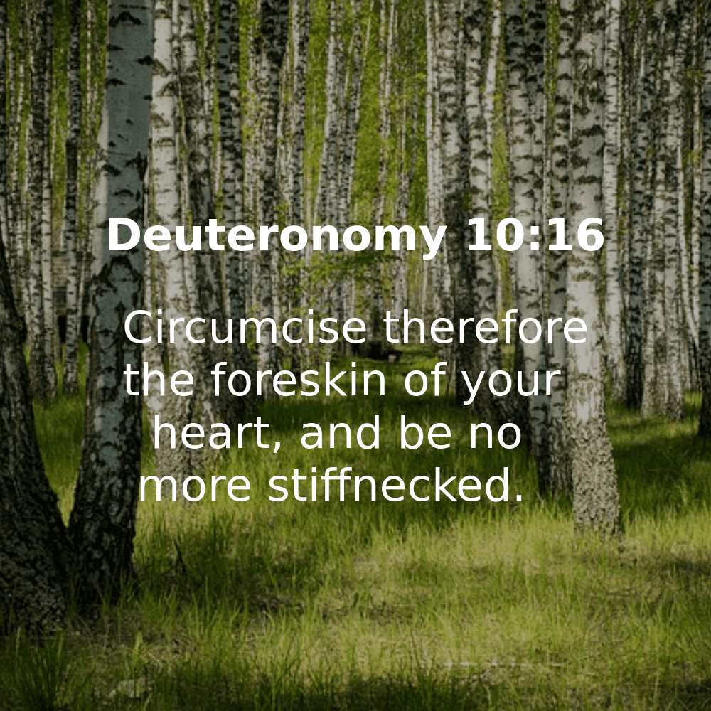 Deuteronomy 10:16 - Bibleverses.net