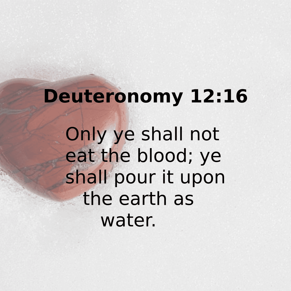 Deuteronomy 12:16 - Bibleverses.net