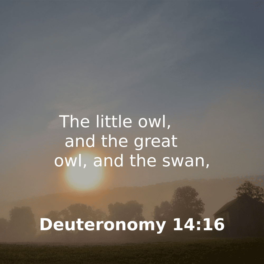 Deuteronomy 14:16 - Bibleverses.net