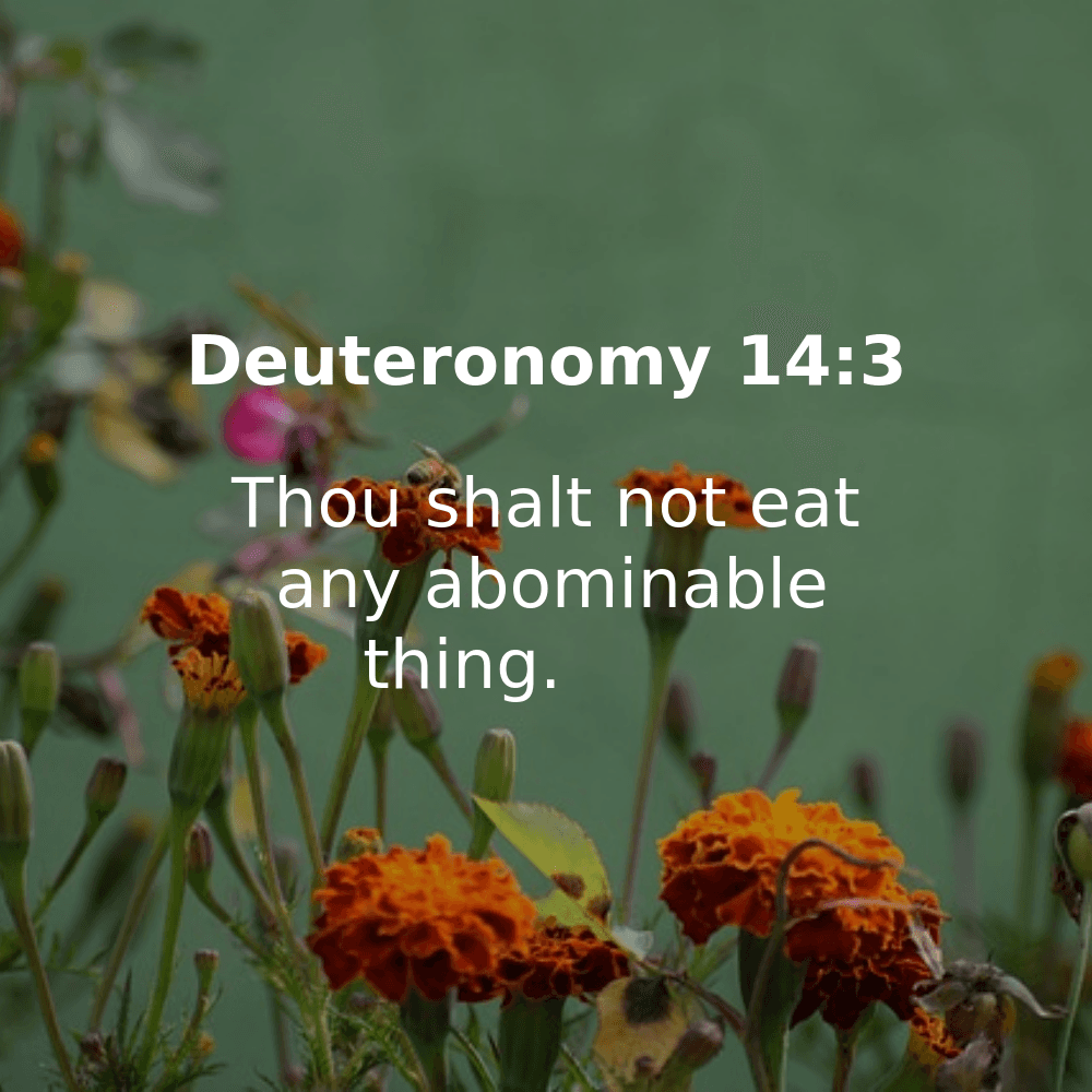 Deuteronomy 14:3 - Bibleverses.net