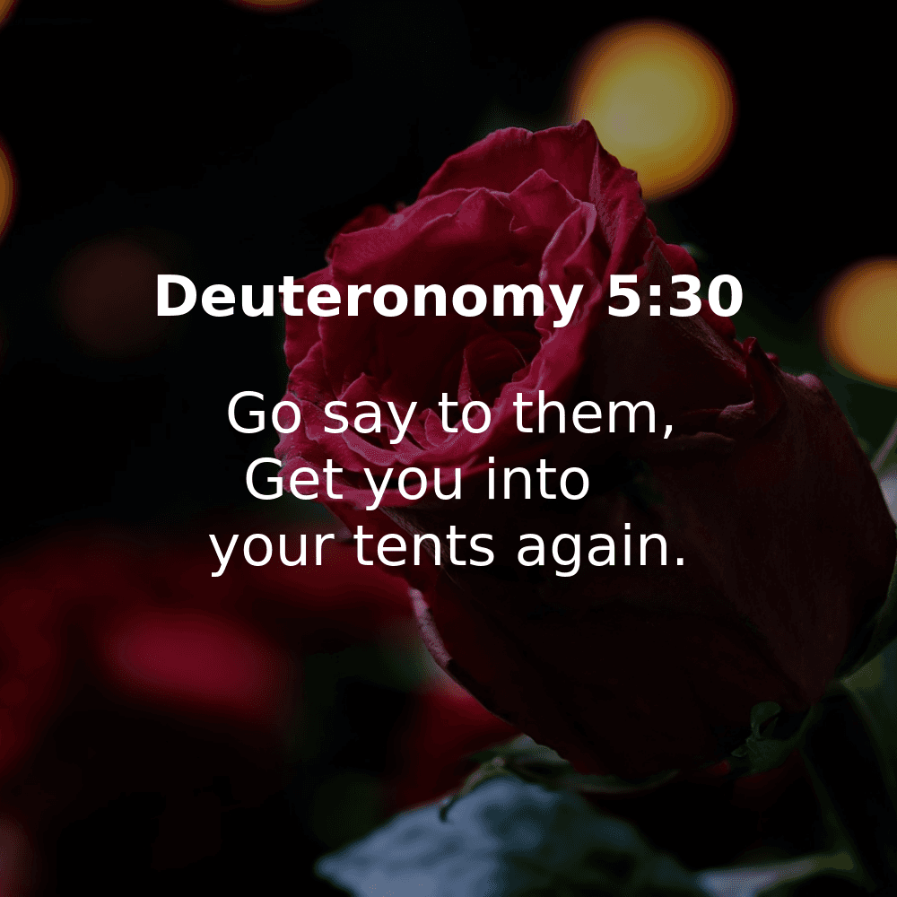 Deuteronomy 5:30 - Bibleverses.net