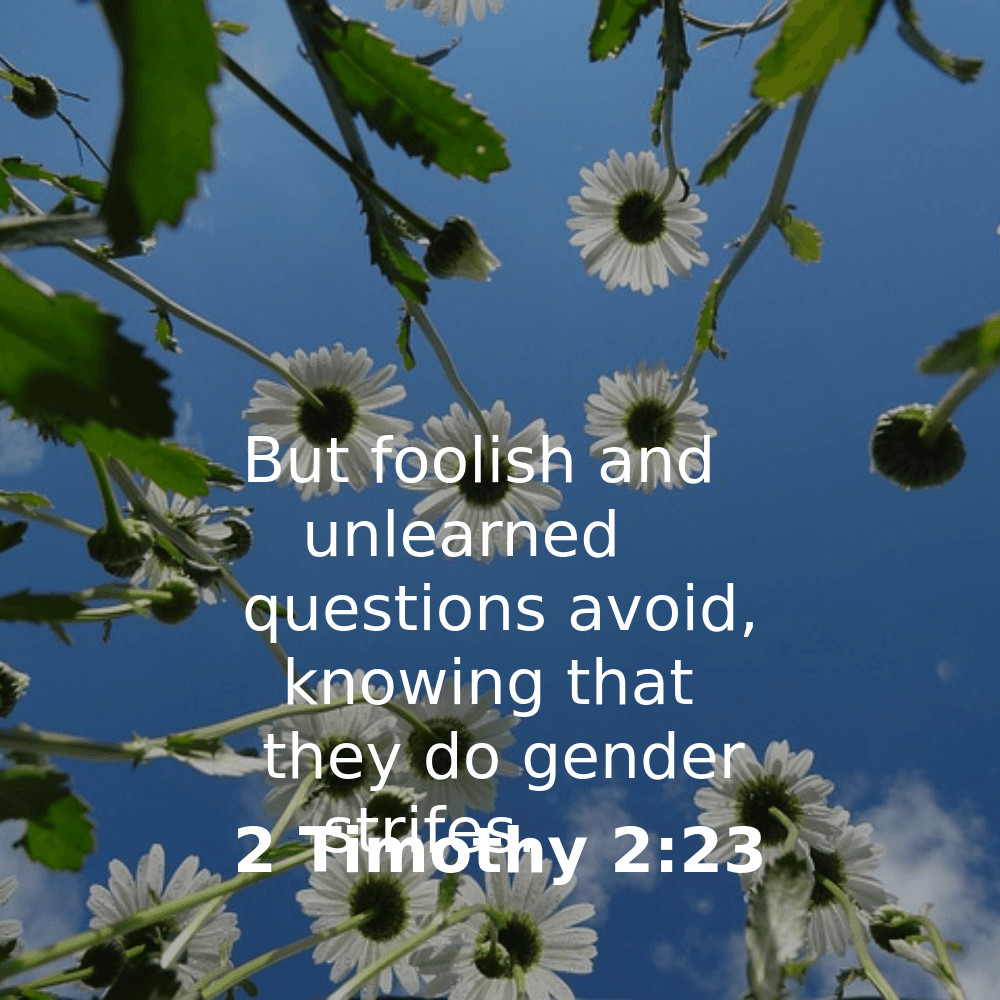 2 Timothy 2:23 - Bibleverses.net