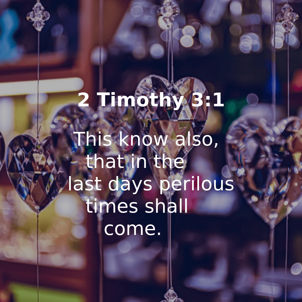 2 Timothy 3:1 - Bibleverses.net