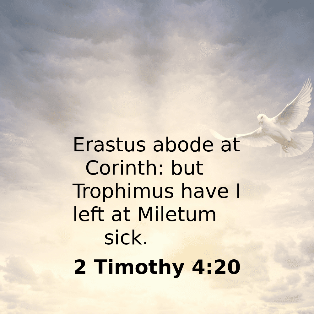 2 Timothy 4:20 - Bibleverses.net