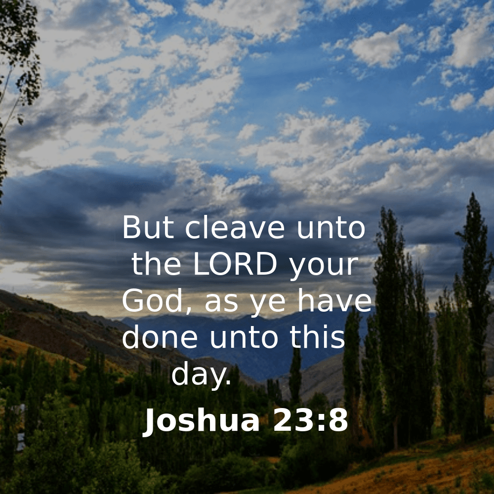 Joshua 23:8 - Bibleverses.net