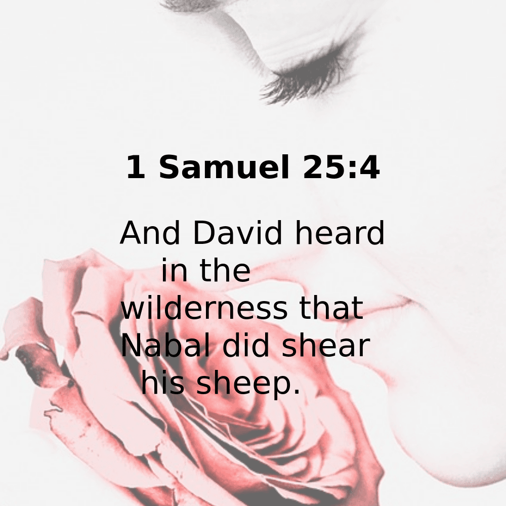 1 Samuel 25:4 - Bibleverses.net