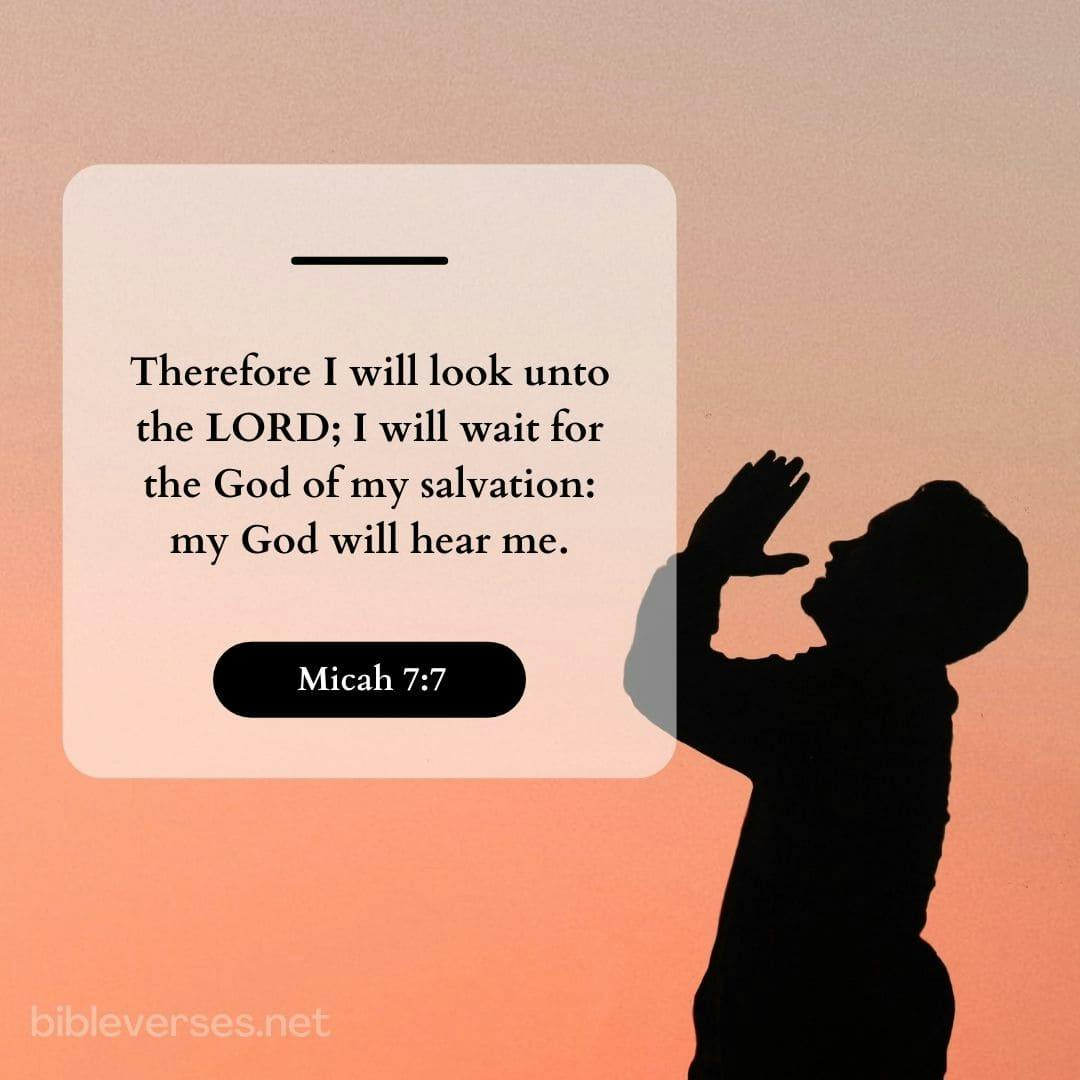Micah 7:7 - Bibleverses.net