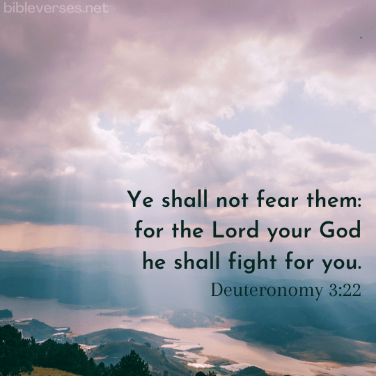 Deuteronomy 3:22 - Bibleverses.net