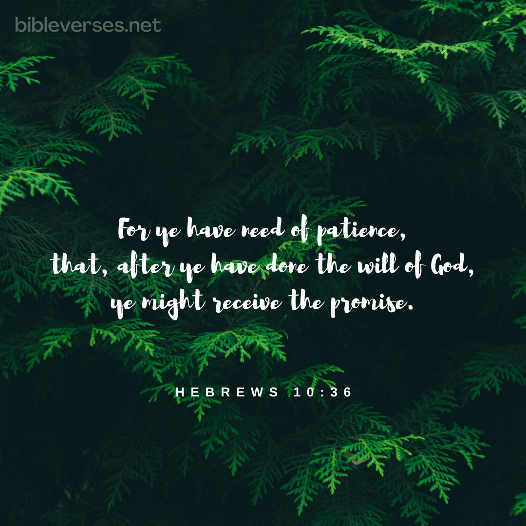 Hebrews 10:36 - Bibleverses.net